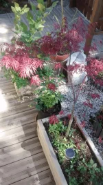 IMG_20160410_151535849.webp IMG_20160410_151535849.webp
