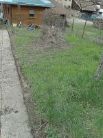 IMG_20160409_110052.webp