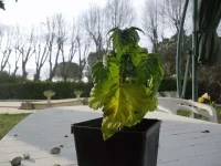 DSC01964 (800x600).webp DSC01964 (800x600).webp