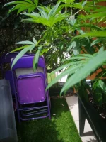 IMG_20220627_131814.webp