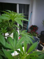 IMG_20220627_131807.webp