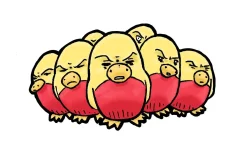 T-Shirt birds2 colo.webp