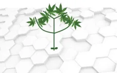 schéma pousse5.webp schéma pousse5.webp