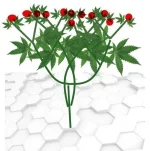 schéma pousse10.webp schéma pousse10.webp