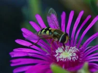 IMG_6240.webp IMG_6240.webp