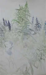 281780936_3122069338057774_2474684802276789720_n.webp