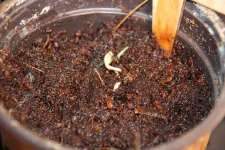 IMG_6360.webp IMG_6360.webp