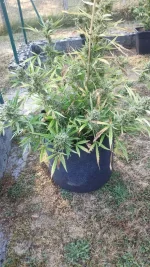 IMG_20220810_084126.webp