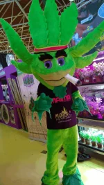 wp_ss_20160312_0002.webp