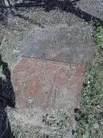 IMG_20160419_104330.webp