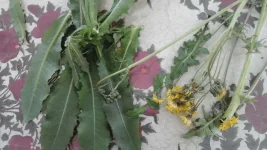 20160501_150130.webp