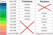 PPF et intensité CRO et FLO.webp PPF et intensité CRO et FLO.webp