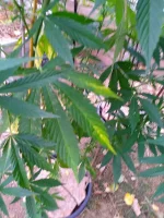 IMG_20220721_084647.webp