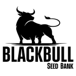 logo.webp