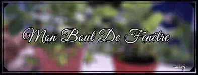 mon bout de fenêtre.webp