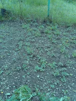 006.webp 006.webp