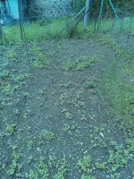 021.webp 021.webp