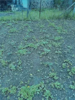 001.webp 001.webp