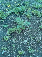 003.webp 003.webp