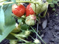 043.webp 043.webp