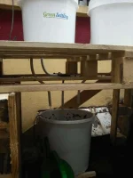 Test4.webp Test4.webp
