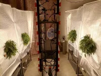 IMG_20221210_103143.webp