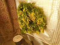 IMG_20230102_093224.webp
