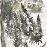 Cannatoon13 (3).webp