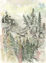 cannatoon17.webp