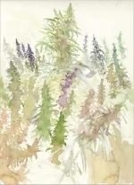 cannatoon25.webp