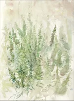 cannatoon27.webp
