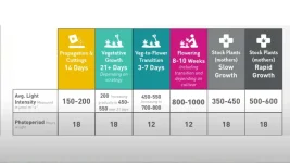 Tableau PPF.webp Tableau PPF.webp