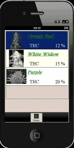 Cap2.webp