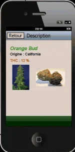 Cap4.webp