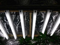 DSCN2638.webp