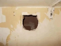 DSCN3144.webp