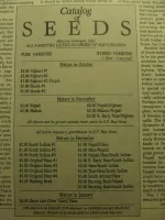 seedcatalog_1981-sacredseed.webp
