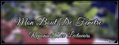 mon bout de fenêtre Réponses.webp