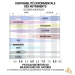 PH-GRAPHIC-COLORS mobile FR-03.webp PH-GRAPHIC-COLORS mobile FR-03.webp