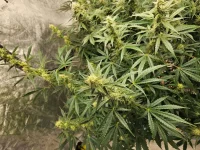 20230302_153729.webp