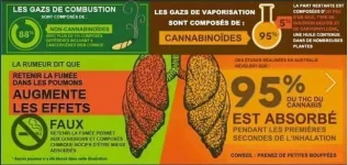 FumerOUvaporiser.webp FumerOUvaporiser.webp