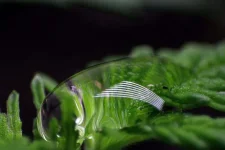 IMG_0170.thumb.JPG.d17d20d2b46ca79ebc589849ebbbb06a.webp