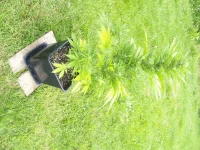 101_6178.webp