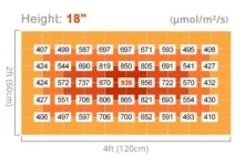 image.webp image.webp