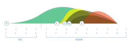 image.webp image.webp