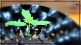 20230417_133134.webp 20230417_133134.webp