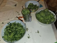 20230401_202442.webp