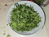 20230401_202452.webp