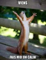 viens-fais-moi.webp