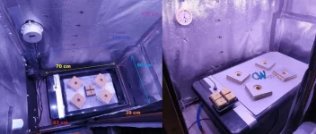 Lamictal box led.webp Lamictal box led.webp